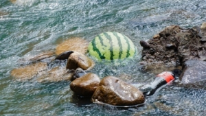 ����֪ͨ����ٕr�g�_����