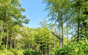 ���ɽ�f���w�(y��n)ɽ�gҰȤ���������յ����e�c���