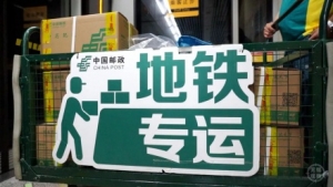 S1����ȫ���ׂ���