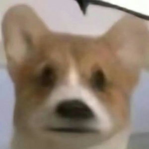 �����У��Ȼ�ѽ��_ʼ����ˣ� �f����550�־Ͳ�������