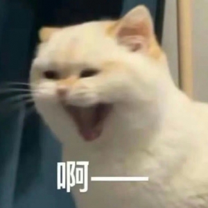 ���ǣ�܇�@��ҲҪ͵������������׾���������������ģ�