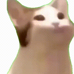 ף�������ж����ܶ��˿����˶�������