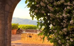 �S�ģ�ƽ�o���N����������̓�o��͸¶�����C