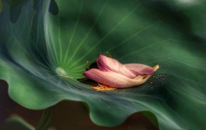 �S���ģ�������ɣ��e��һ���ζ