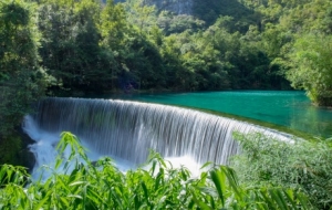 ���������н�������M