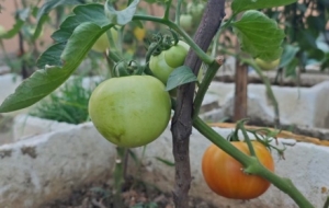 �W����_�ԝM�Ϲ��߲ˣ��L����ʢ�ɾ͸НM�M