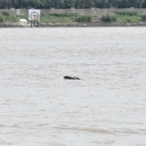 ��ꎴ�򸽽�ͻȻ���F��