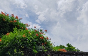 ���K��  �ǃzܛ�Z��С�����I�Ԃ��y�u��������