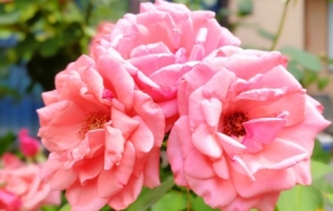 ���_���G���S��һ�Ĳ�׽��߅�Ļ���