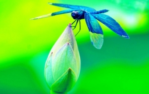 �M�����⣡��ɶ�������ɶ���