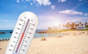 ע�⣡�A(y��)������(j��)��