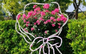 �����S�ģ�ӛ�ÿ����̫ꖕ�͸��˲�g