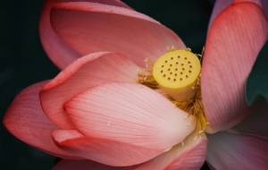 ��������֮�s�����㸡�Ӻɻ���