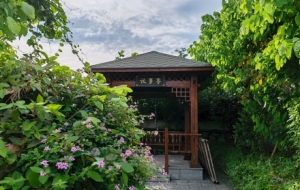 ����ͬ��С患����M�O��Đ�������