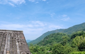 �������nɽɭ�ֹ��@����ɽ��Ұ�ή����