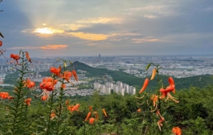 ��ɽ�֙C�S���ģ����ˉ��ð������