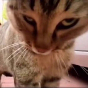 ���|��һ�һ�鹫˾����Ҫ�����W����ٻ飬�󲿷�Ů���������F���ģ��ж������ܽ��ܣ�