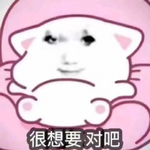 �������@̖ʮ��������Ҷ������ˣ�