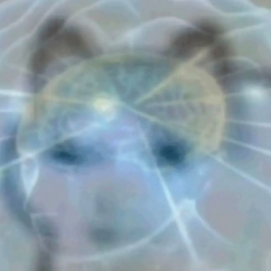 �ļ��Â�(g��)��ð��ʲô���X(ju��)�������������ϰ�