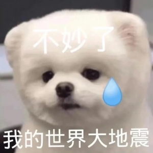 �Ђ�(g��)�ˁ�(l��i)�ⷿ�ӣ�׷���҆�(w��n)�ǲ���һ��(j��)��Ч����׌���҄e�İɣ��ٰ���������