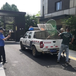 ���c������������ꎳ���