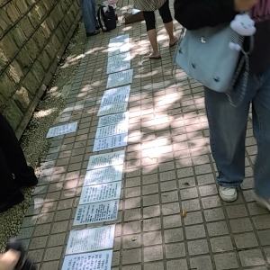 ·�^(gu��)�Ϻ����񹫈@����һȦ��������(l��i)���S���@Ҳ���������ӣ��@ô�õėl����Ҫ�N���R·�� ...