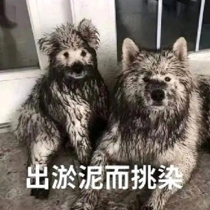 ���ѽ�(j��ng)�ܾÛ](m��i)���Ԍ��I(m��i)�|���ˣ������϶���ƴ��࣬����ͬ�ӵĖ|�����Ԍ�����