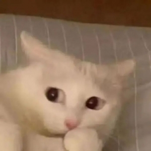 ���7����M(f��i)���Ҽ�475������U�M(f��i)224Ԫ����(chu��ng)�����¸�~