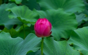 ʢ�Ļ������ɻ���˯ɏ�`�ŵĻ��˹�������ģ��