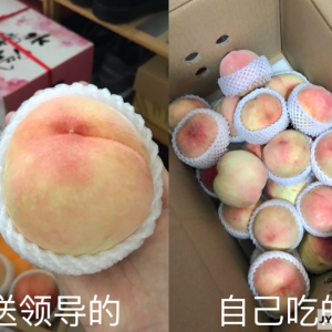 ȥ�(y��ng)ɽ���������I(l��ng)��(d��o)����һ�c(di��n)����@��(g��)�Rƨ�����İ�