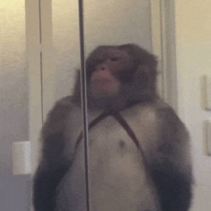 8���x���K�ڰѹ��e����ȡ����(l��i)�������6��(g��)�°�֮ǰǷ���X(qi��n)߀��