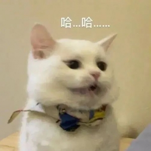 �ҵķ�Ҫ������һ������fֻ�������¡��ґеú����fԒ��ֱ�ӓ]�]��׌������