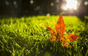 ����������߀Ҫ���ð���