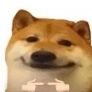 ��һ�˸��ٲ�֪������ɫ܇�ͺ�ɫ܇���ܴ������@�ӆ᣿