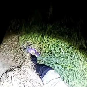 ��ҹͻ�l�����һ�����@�F......