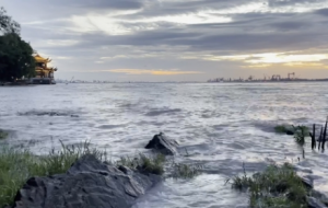 �L�L�L����嫖|������һ���������L���پ��D