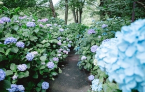 �R�^�µ�������գ�����һ��������