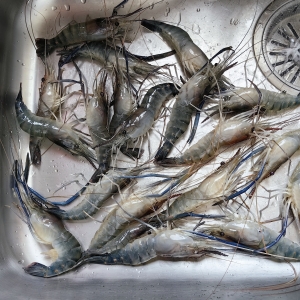 ��Ѫ������һ����ȥ�ˈ��I��һ����^�r��40Ԫһ�ԓ�����r���