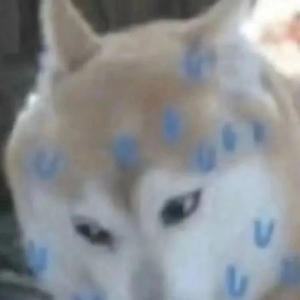 ������ǰ94�����105�����S���ˎ���110��F��120���ˣ����R��Ҳ�]�X���Լ��ж� ...