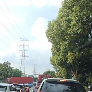 ���ɽ��·�Ͳ����д�܇�����������°�߷壬��Ĳ���ȫҲ�ǳ���܇��