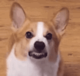 ����Ƿ�҃�ǧ�d�����������ـ�����Ҿ��o�o�Ŀ�һ���oه�ݑ�