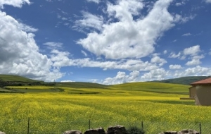 �����������{�Σ�һ������Ĵ�ú�ɽ