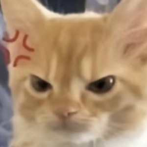 �F�ںö����x���֙C�͸��G�˻��Ƶģ���·�����T늄�܇�����_��܇�����ϰ��_�C��Ҳ����