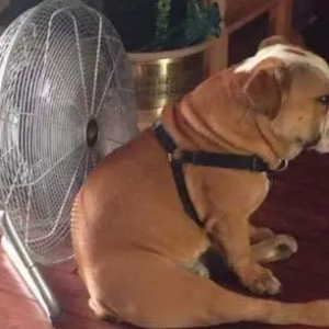 ��ҁ��f�f���F���ѽ������ˣ�����߀��ÿ���_���{�᣿���_�ßᰡ