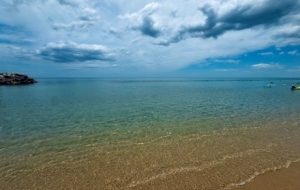 �W���R�^�µ����죺��������r�������Ҷ����