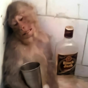 ��������İ�����У����ʧ��ӽ���ʧ�������С�W�������ЌW��؞�fС�W�����Ҹ��X��Щ ...