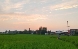 �~�������Σ����M��@�����L��֮����