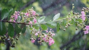 �ͽ�11�棡��ꎲ��ֵ؅^���̕r����ˮ