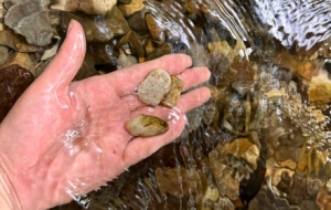 �_�������һ��������ͽ���Ǹߴ�ɽ�L