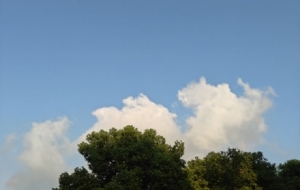 �W(w��ng)���S�ģ���Ҋ�^�糿���c�Ľ����Ն᣿